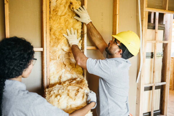 Types of Insulation We Offer in Mayville, MI